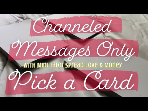 Promotional video thumbnail 1 for Jazlyn Reads