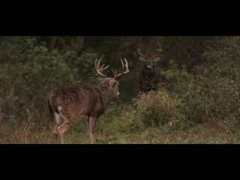 Welcome to Quest Hunt Co 2020! Don't miss out this season, gonna be amazing!