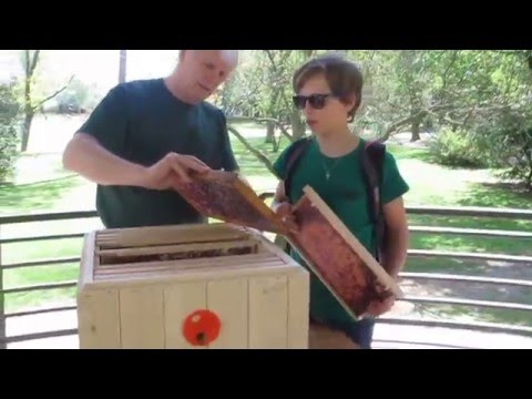 ZLATÁ VČELA 2016 - Rakovník - včelařská praxe