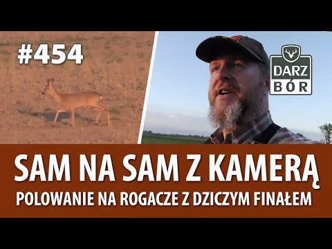 Darz Bór Odc 454 Polowanie na Rogacze z dziczym finałem.