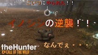 theHunter Call of the Wild「イノシシの逆襲！」