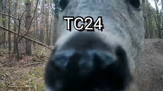 TC24 gereinigt und am neuen Standort
