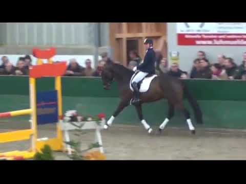 Donna Felice und Don de Charry von Don Frederico