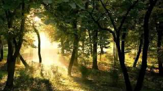 Download lagu MLTR - I'm Gonna be Around (With Lyrics).flv mp3 Download lagu MLTR - I'm Gonna be Around (With Lyrics).flv mp3