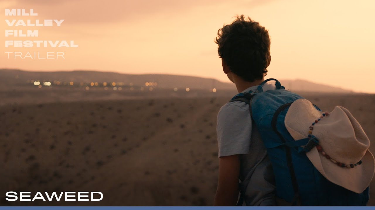 MVFF46 - SEAWEED - Official Trailer