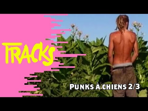 Punks à Chiens (2/3) 2007 - Tracks ARTE