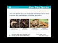 Jim Hoorman Controlling Voles And Slugs