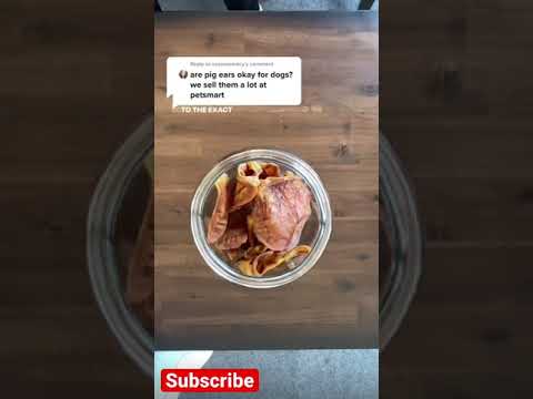 Are pig ears safe for dogs? 🧐🐾