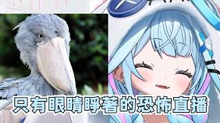 枢醬如果開24小時直播的話會怎樣【水宮枢】【Hololive/ホロライブ】【vtuber中文字幕】
