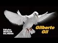 A PAZ (letra e vídeo) com GILBERTO GIL, vídeo MOACIR SILVEIRA