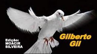 A PAZ (letra e vídeo) com GILBERTO GIL, vídeo MOACIR SILVEIRA