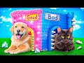 Good Dog Vs Bad Cat How To Make Pet Houses