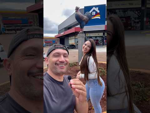 Canta Galo Paraná #miguebraia #humor #piadascurtas #comedia #piadasrapidas #casal #novelinha