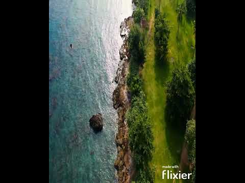 Tropical Getaways and A Stunning Beach