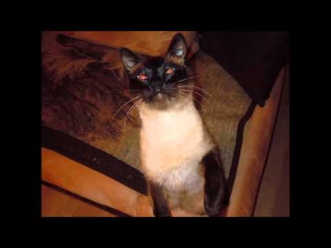 Ein Leben ohne die 2 nein danke