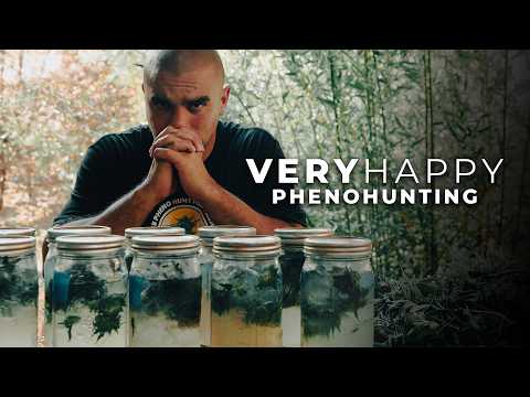 ¿QUÉ ES EL PHENOHUNTING? EN BUSCA DE LAS MEJORES FLORES DE CALIFORNIA