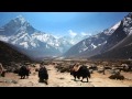 Trek the mountains of Khumbu, Nepal in Google.