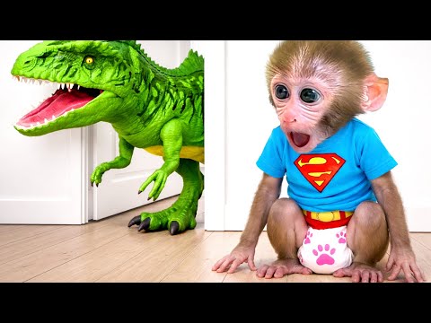 Le singe Bon Bon et le petit chiot découvrent ensemble le mini supermarché souterrain secret
