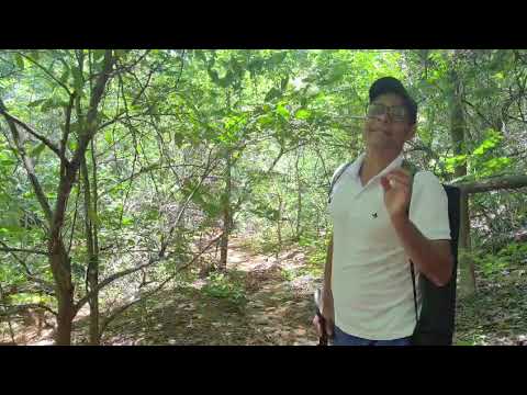 Falando um pouco das filmagens do documentário de Iuiú nossa cidade Iuiú Bahia 