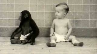 don´t push me off the end of the world