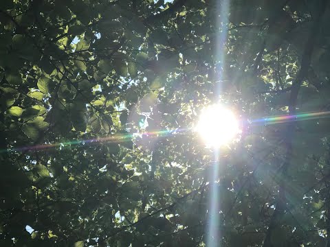 Channeling 120 - more connection, new knowledge, implants