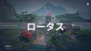 記録　valorant