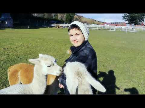 Video thumbnail for Everything Is Going To Be Alright