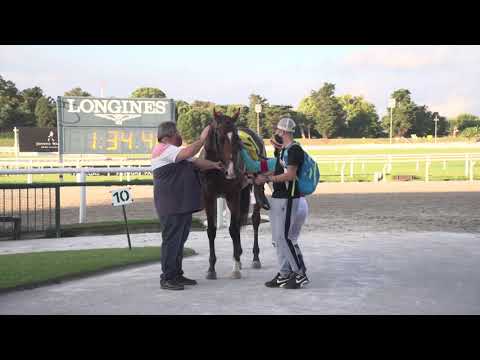 210328 c04 Otoño/ MIO MONDO (ARG)