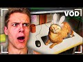 Joe Bartolozzi Creepy Games 62 Creepy Reacts