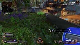 １日24時間じゃ足りません【APEX】