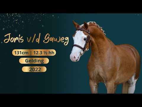 Joris van de Gaweg video 1