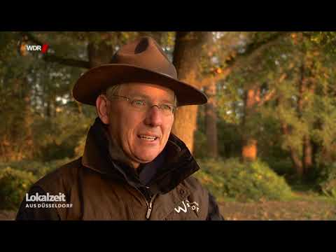 Sonnenaufgang am Niederrhein / Naturpark Schwalm-Nette / Lokalzeit Düsseldorf