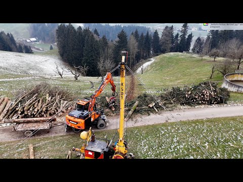 Holzernte mit Seilbahn und Baggerprozessor 🇨🇭🪓🌲