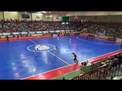 Elche CF Sala - Palma Futsal Jornada 3 LNFS 15/16