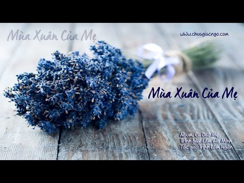 Mùa xuân của Mẹ