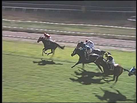 Galoppo 04/02/2017 - 5ª corsa