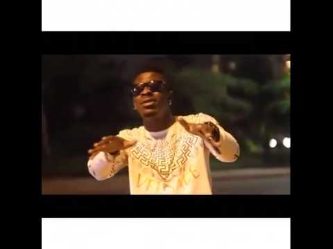 Shatta Wale live in Virginia for Ghana @ 58 Independence bash (Promo Video)