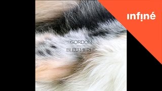 Gordon - Bleu Merle