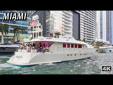 Miami River Boats are AMAZING