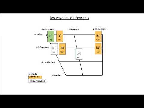 Les voyelles phonétiques du français