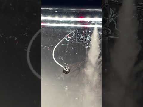 Мини-теплица для орхидей и тропических растений Orchid Black - увлажнитель, фитосвет, таймер - фото 1 - id-p1870381030