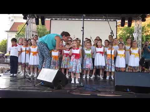 Hor Šareni Vokali - SO Leto 2014 -  PRAVILA (Una Mišković)