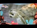 Baby TV The Amazing World Mountains