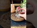 Magnetic Love Spell Jar DIY 💫 Easy Witchcraft for Attraction