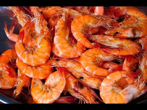 nycto - frutti di mare