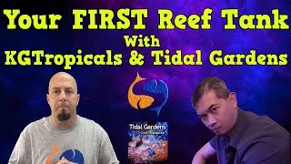 Your First Reef Tank With Than Thein From Tidal Gardens Inc.
