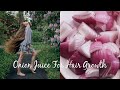 ONION JUICE FOR EXTREME HAIR GROWTH Stop Hair Loss Grow Long Hair