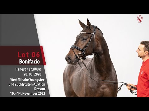 Online-Auktion Lot 06 Bonifacio Hengst v. Bonds - Christ