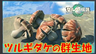 【ゼルダの伝説ティアキン】「ツルギダケ」が群生している森を紹介！蛮族系装備の強化用素材