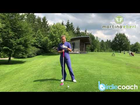 Driver RELOADED : das richtige Bild für den Treffmoment und dem Tee